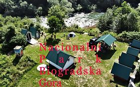 Private Accommodation Kalezic